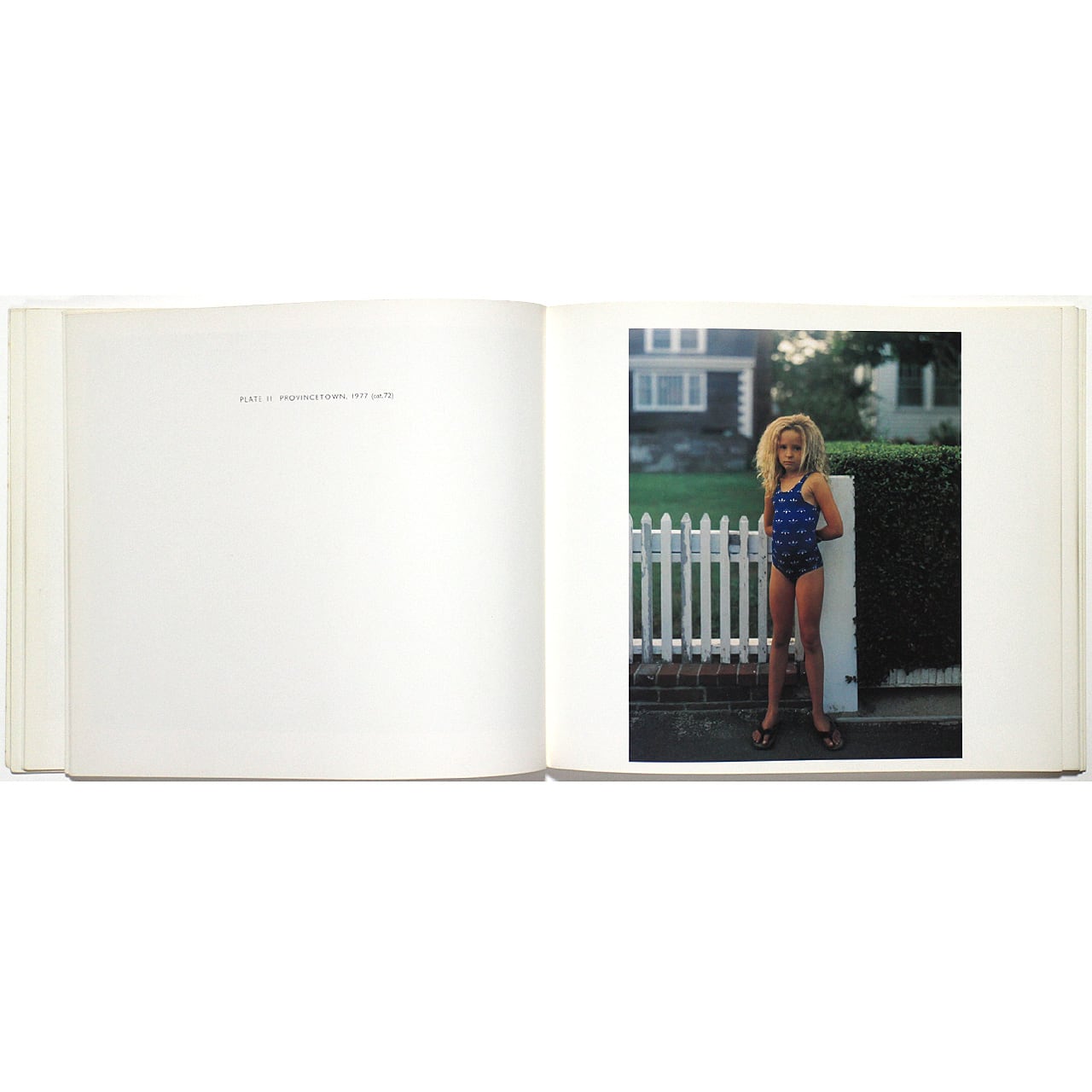 Cape Light: Color Photographs by Joel Meyerowitz ジョエル・マイロ