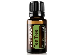 ティーツリー - Melaleuca alternifolia - 精油 15mL