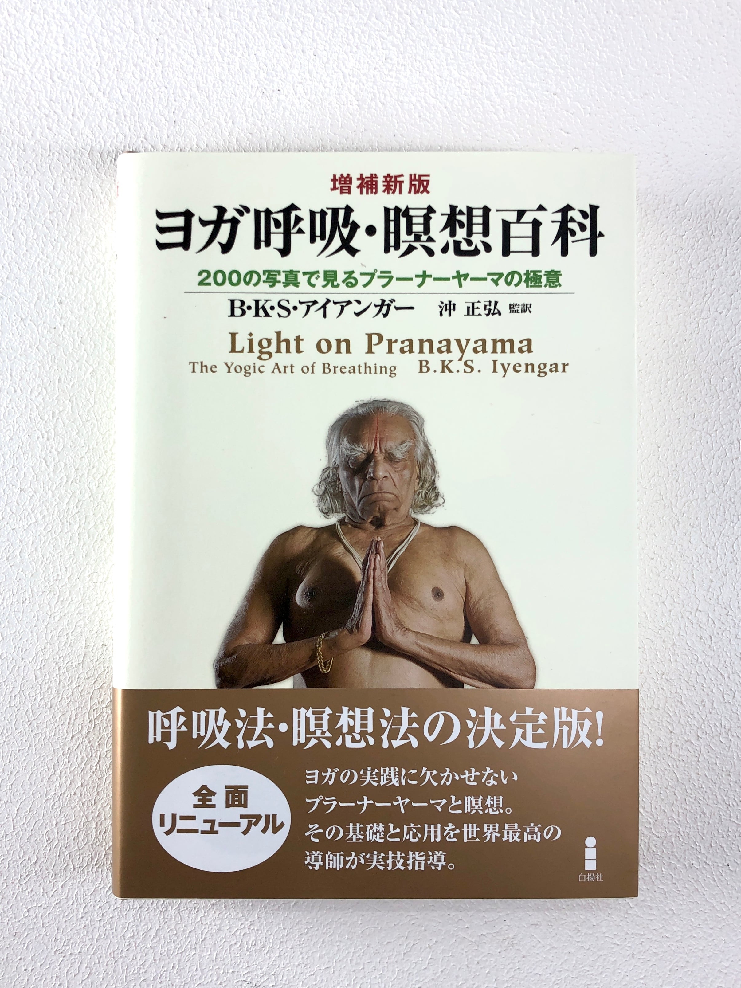 ヨガ呼吸・瞑想百科　Light on Pranayama | Purushana powered by BASE