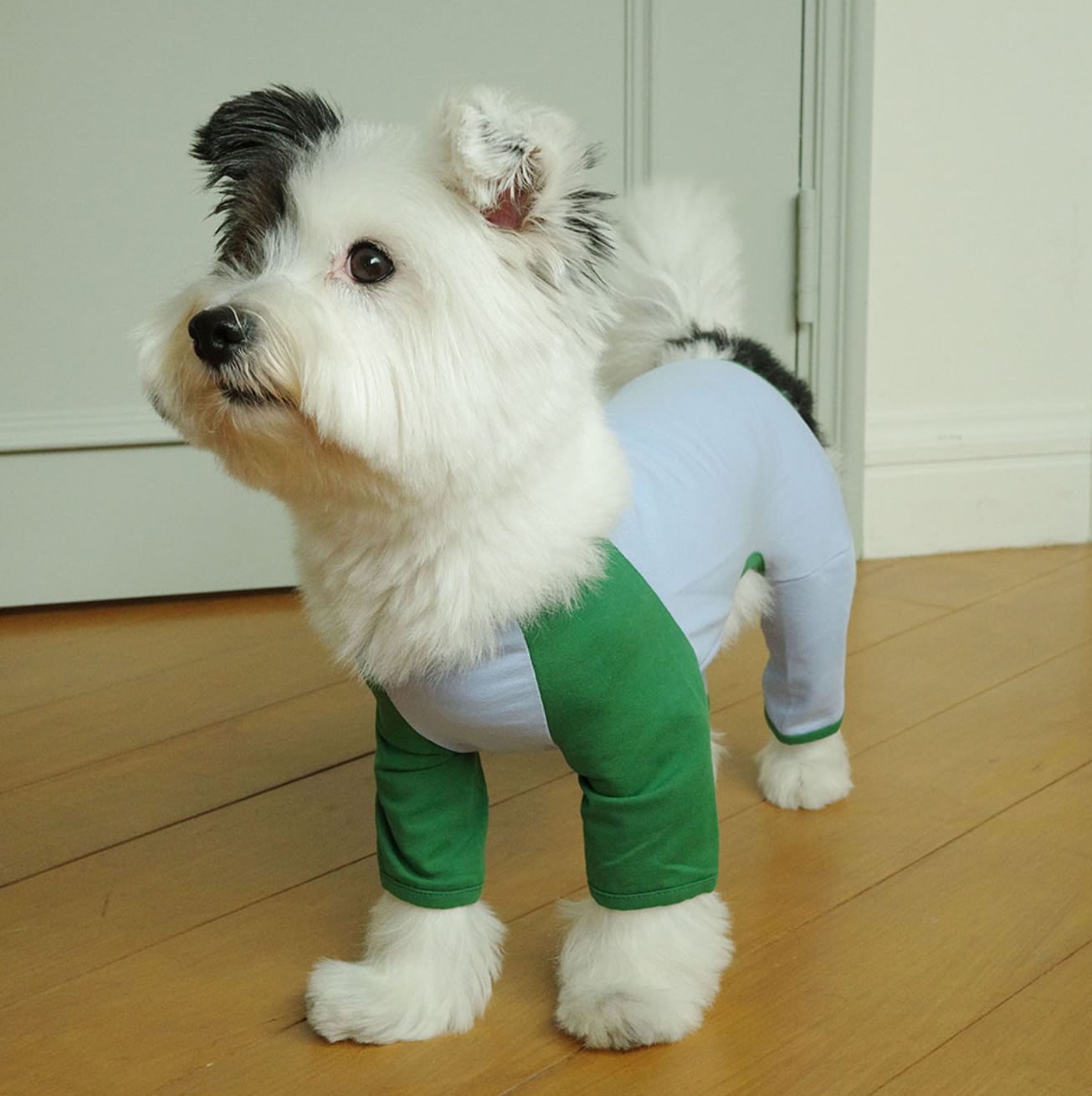 予約【noonoosoom】All Day All In One (Blue/Green)