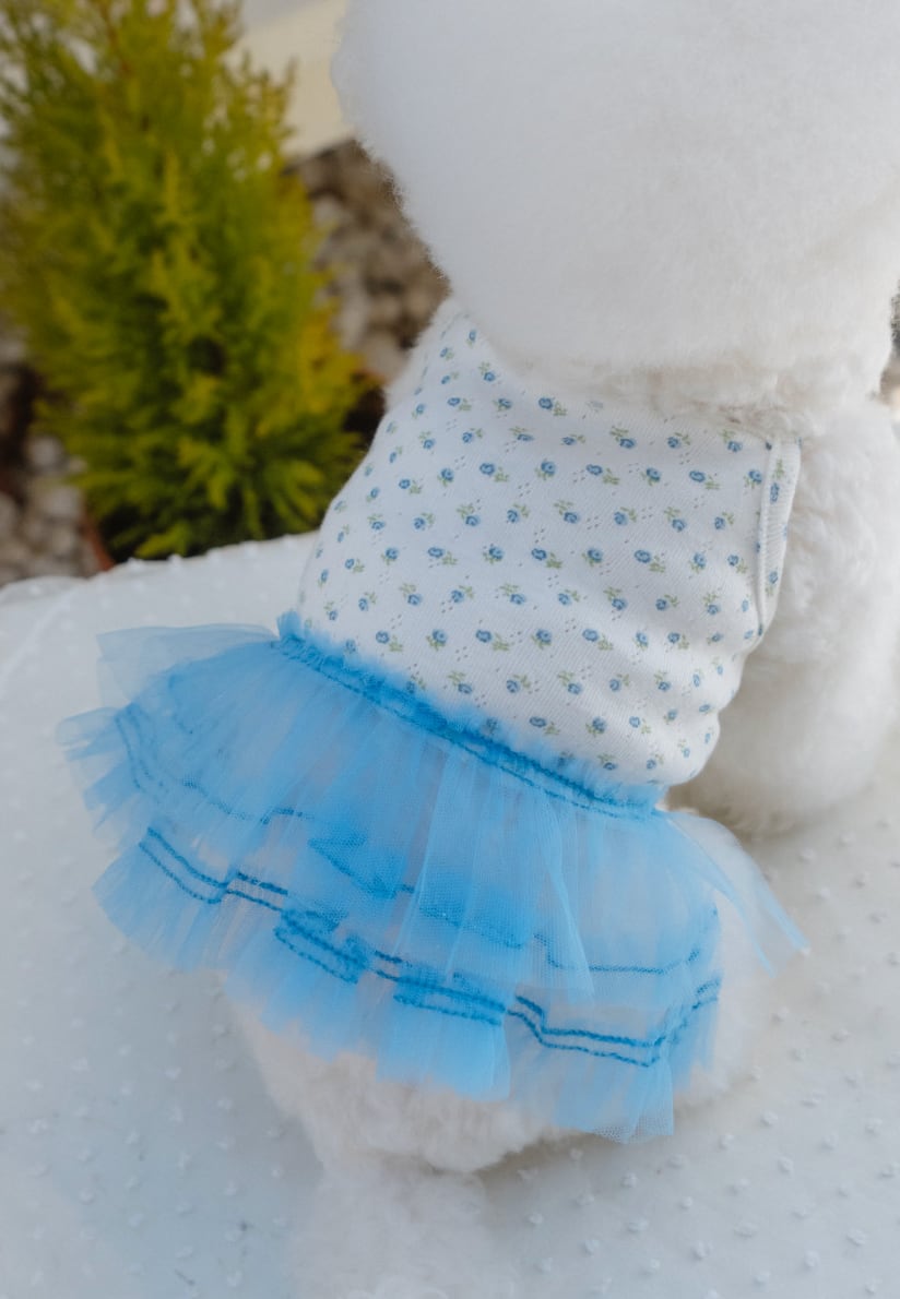 予約【malrang】soft tutu dress (Blooming)