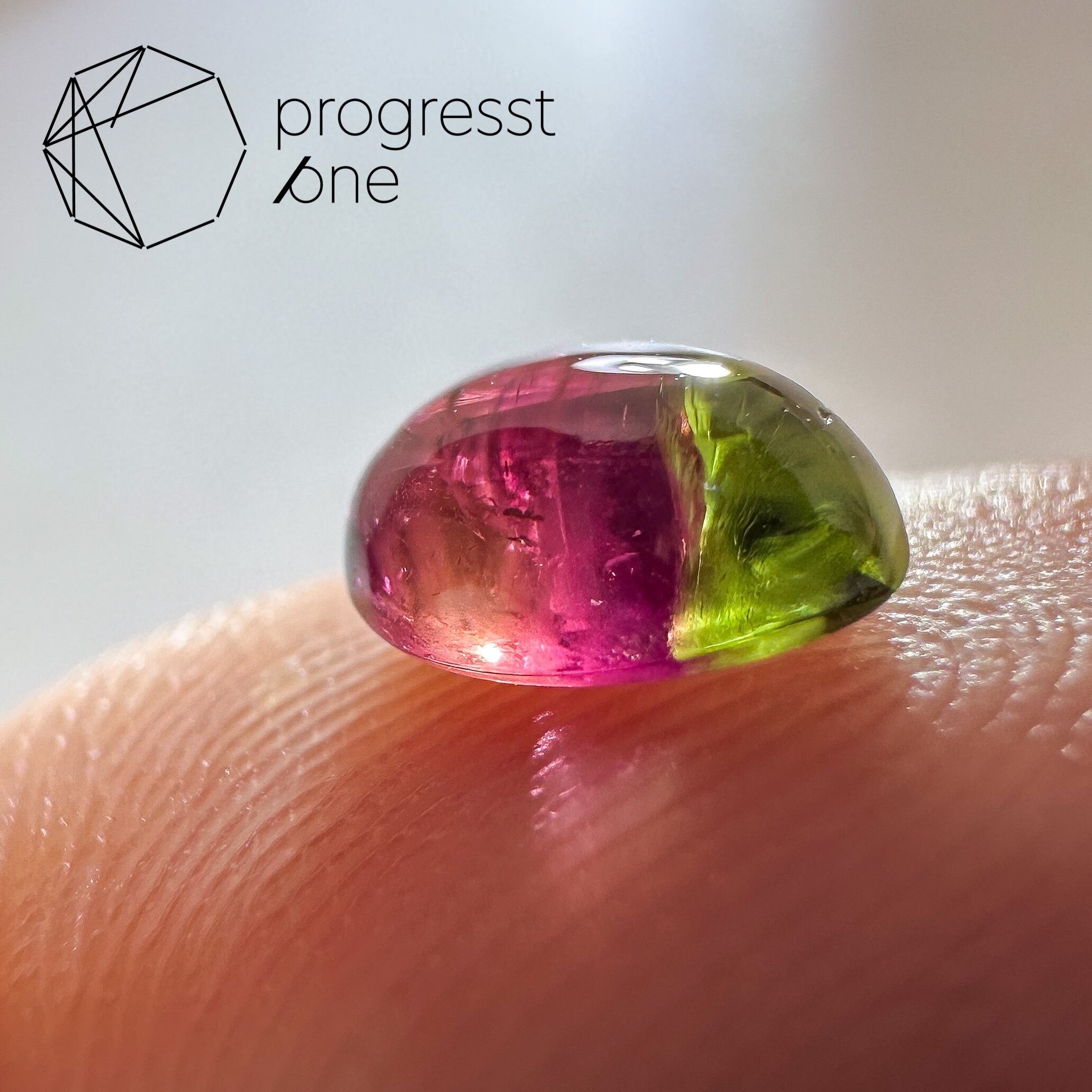 バイカラートルマリン1.01ct | progresstone