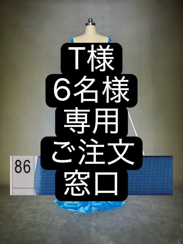 T様6名様専用　ご注文窓口　ベリーダンス　オーダーメイド衣装　YWQQ
