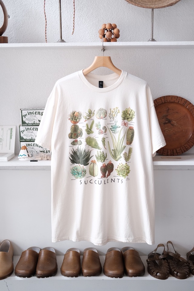 From USA "Succulents"