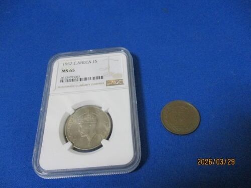 東アフリカ 1シリング硬貨☆1952年／未使用／ジョージ6世／NGC MS65
