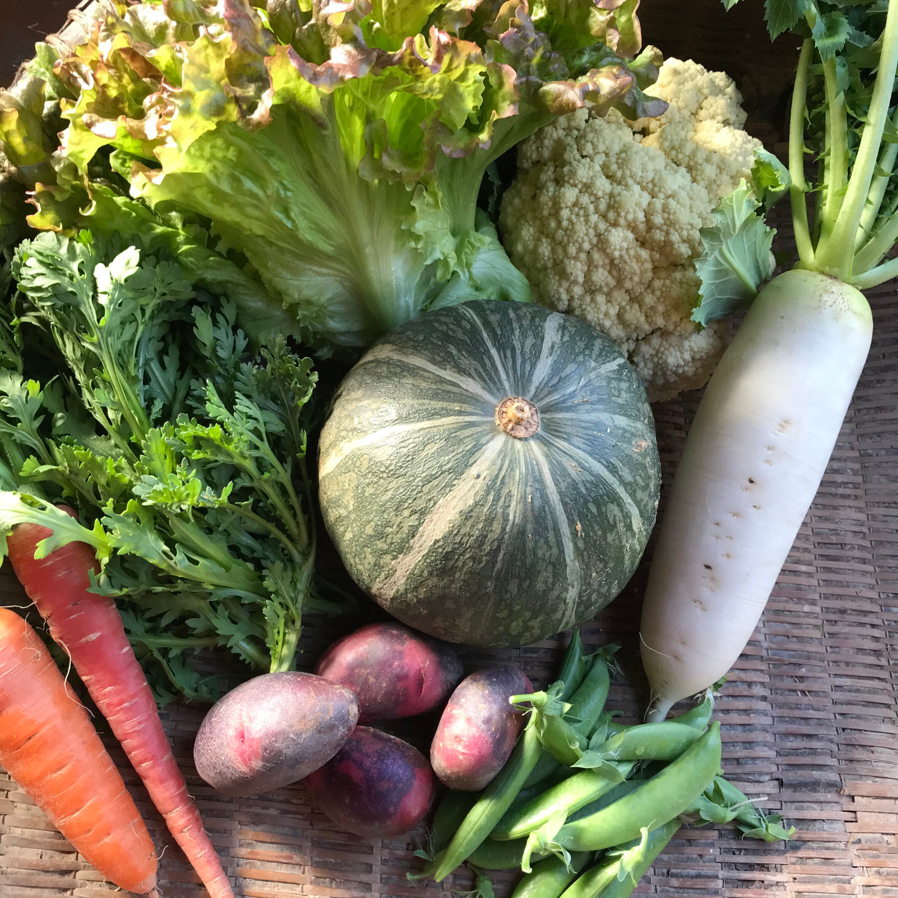 おまかせ野菜セットbig 一部送料込み まるみ農園 自然栽培 有機無農薬野菜を作り 販売