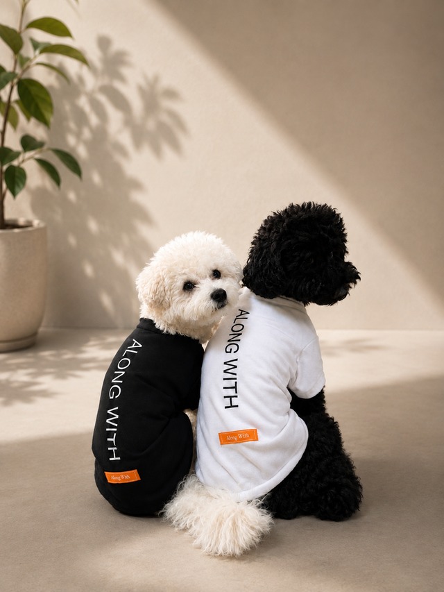 AW Standard T（DOG）