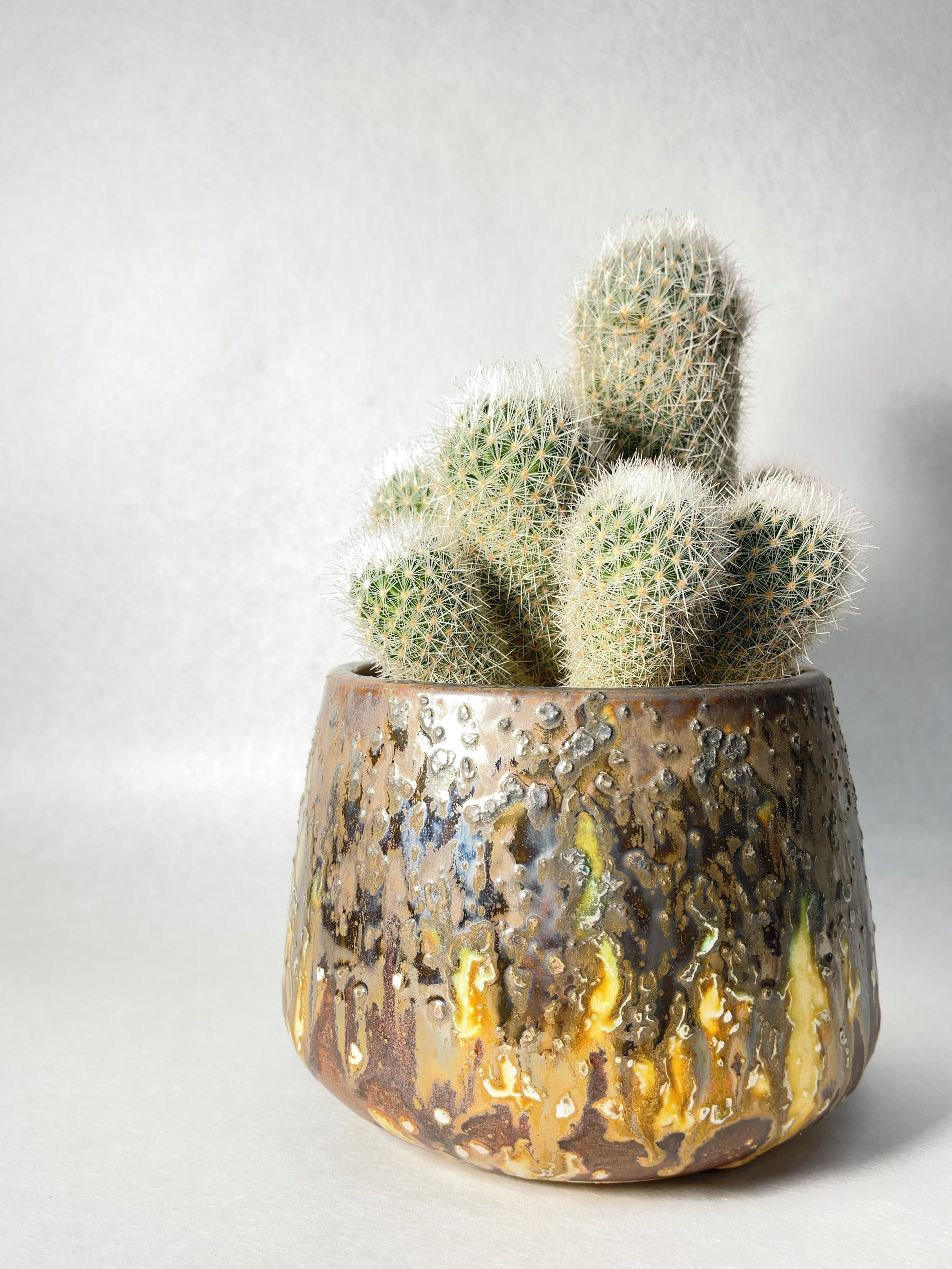 エスコバリア・ラレドイ | trigger