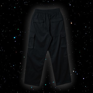 ∴ meteorite kick pants / black