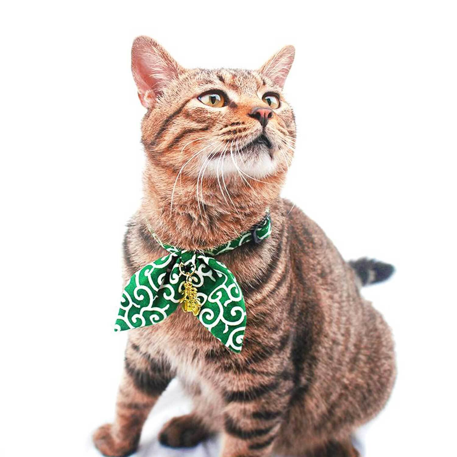 貴方の愛猫が福を呼ぶ招き猫へ大変身！HoneyBunny/猫用・蝶ネクタイ