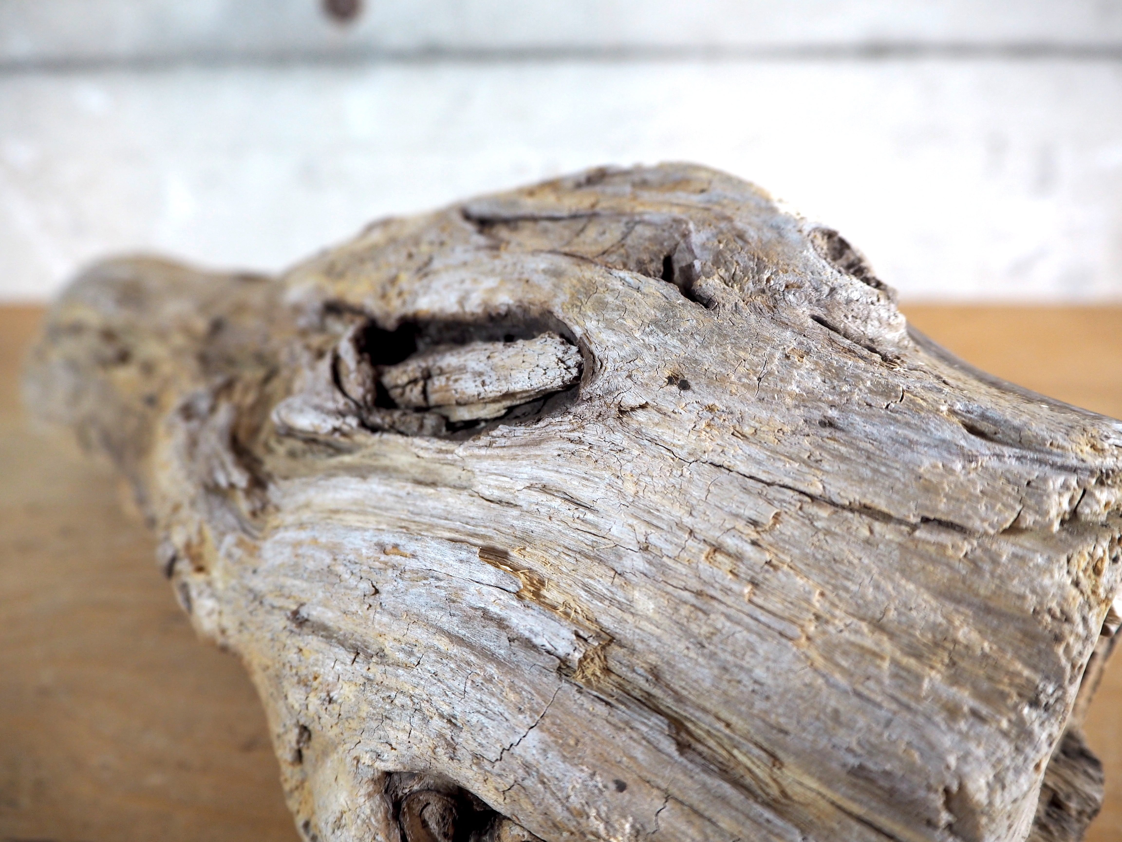 アク抜き済み流木【322】セール