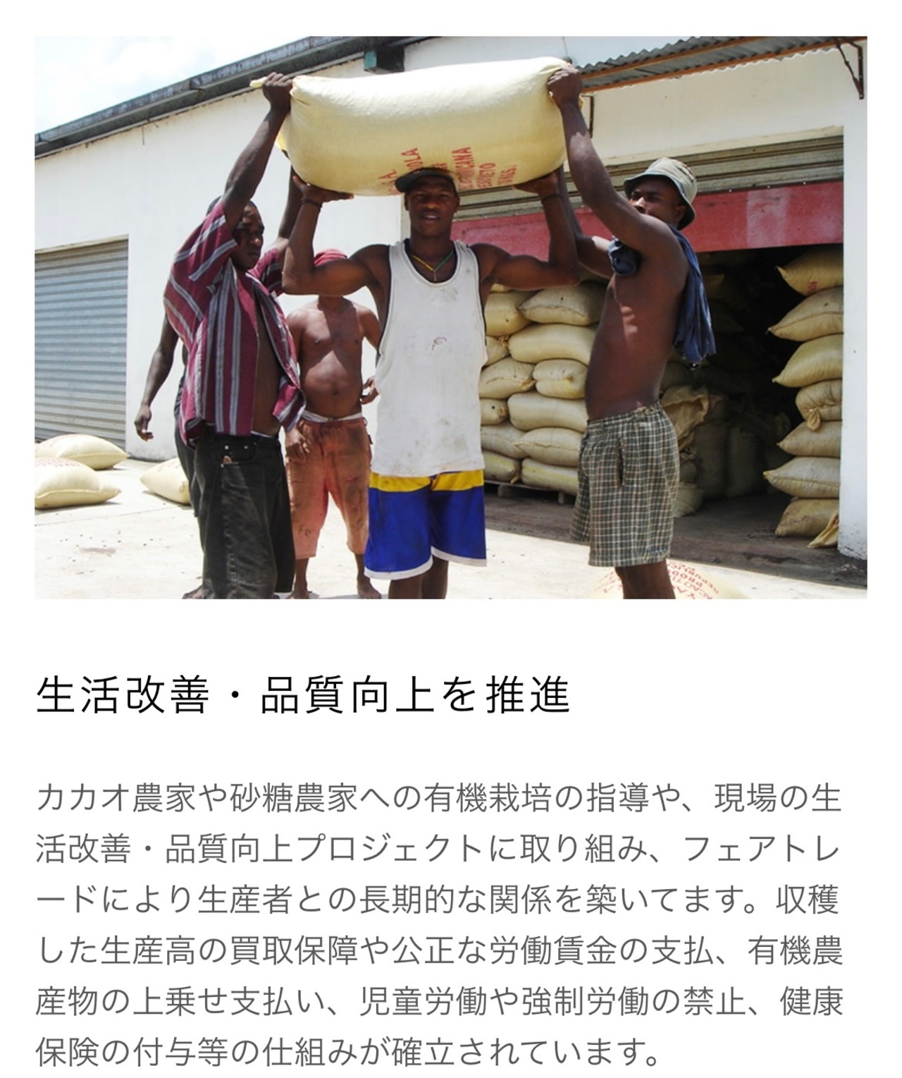 Artisan フェアトレード有機ジンジャーレモンチョコレート 40g　【乳化剤不使用】冬季限定・画像9