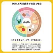 カロリーメイト 大塚製薬 カロリーメイト ブロック バニラ味 4本×9個