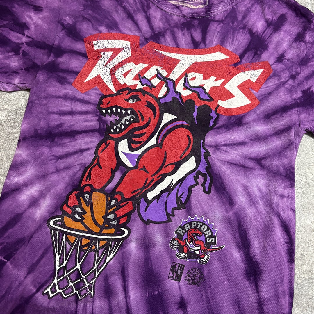 1995 恐竜 ラプターズ 旧ロゴ オール ドステューシー OLD Stussy