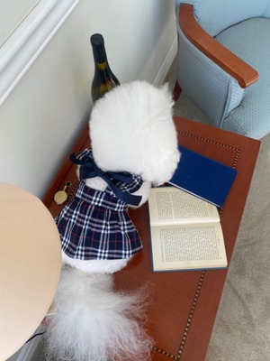 即納【Hi Yeboo】The Fall Dress ネイビー