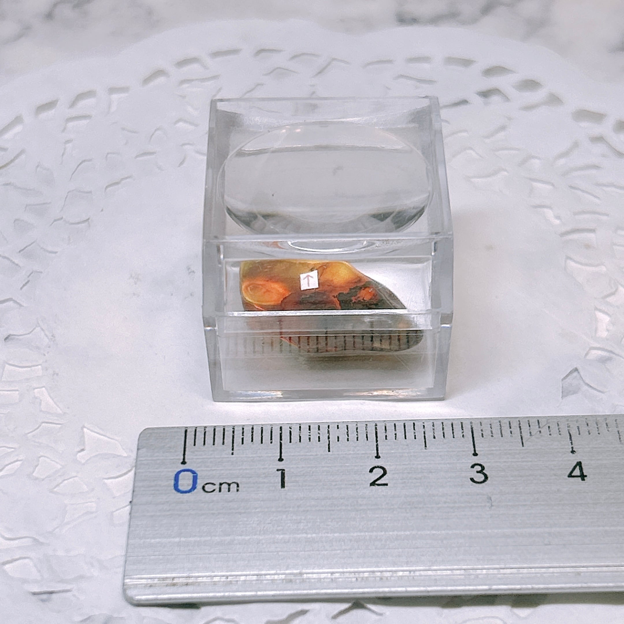 101160】 虫入り琥珀 虫入り 琥珀 こはく コハク 化石 虫入りコハク