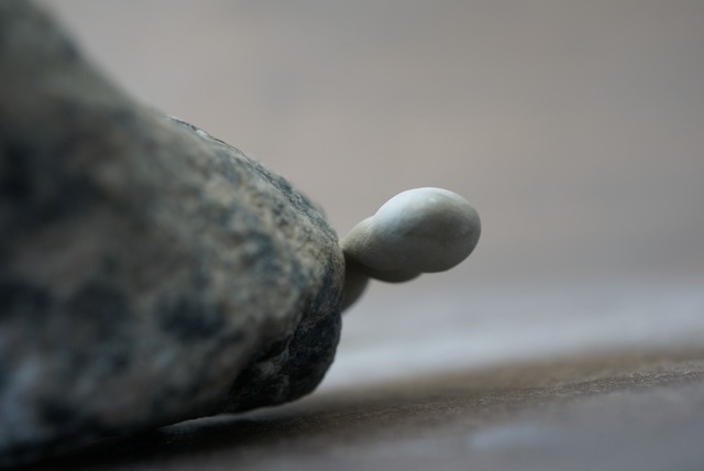 フェアリーストーン 母岩付き Fairy Stone 1137