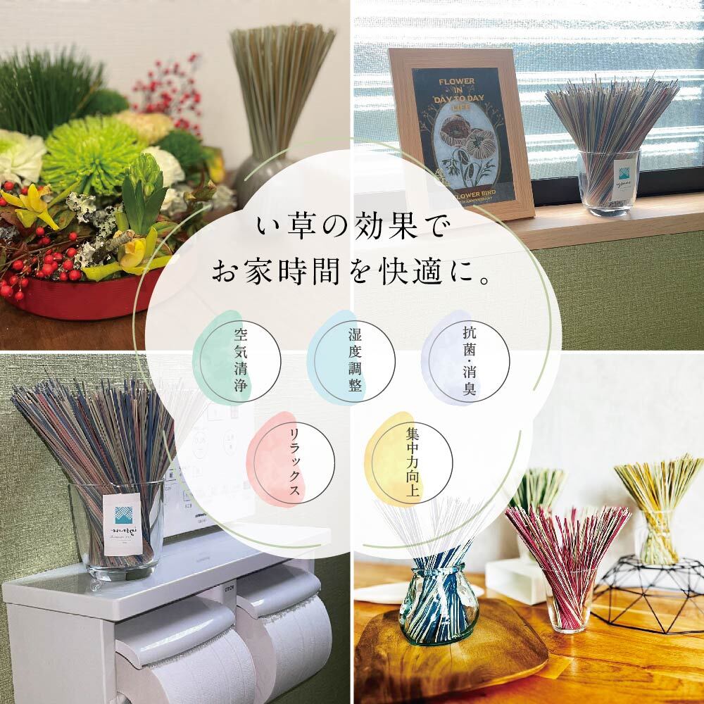 置きイグサ（長さ:20cm）ランダムで8束セット | Pay ID