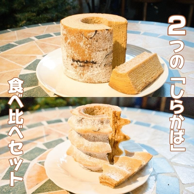 シラカバ瘤2個セット