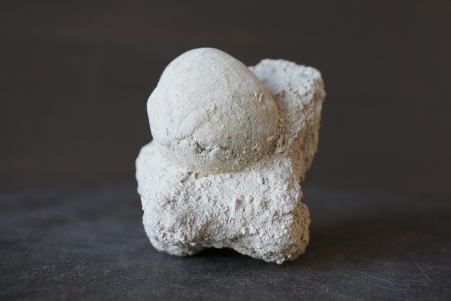 ウニ化石　母岩付き　Rhyncholampas trojanus　1006