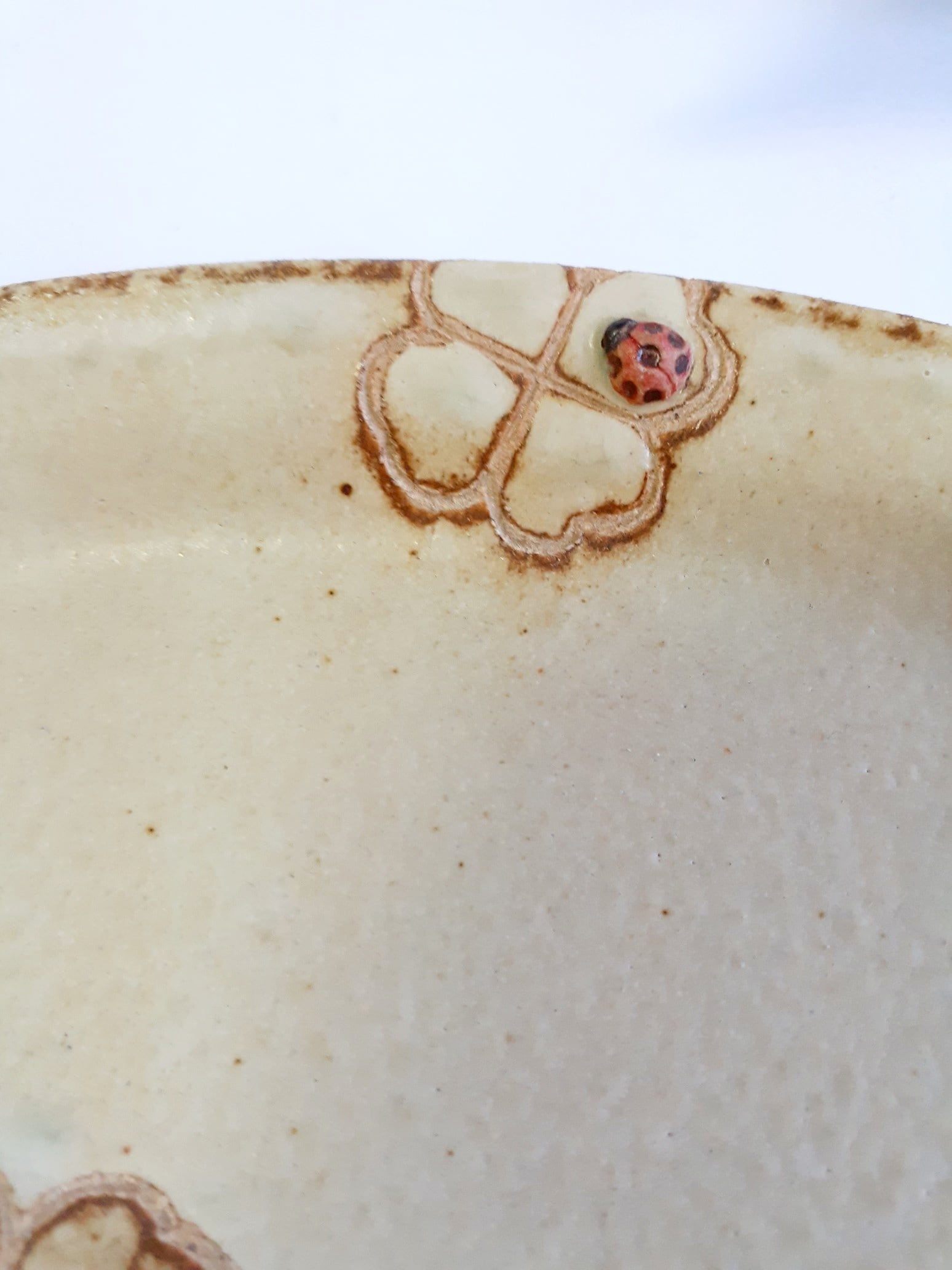てんとう虫のお皿 | shop&galleryいつか月をつかまえる