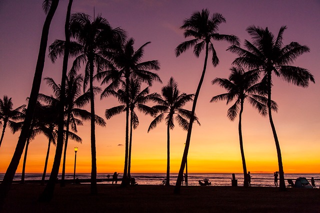 【メタルプリント279×356mm】Hawaiian sunset