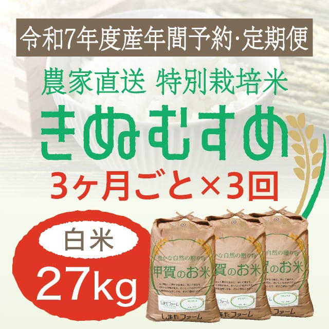 新米 令和6年 【きぬむすめ】20kg 静岡県産 小売 精米 新米 令和6年