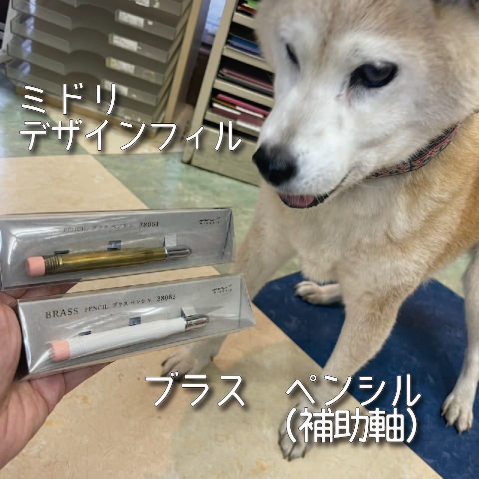 レア ミドリ デザインフィル ブラス ペンシル 看板犬のいる文具屋さん