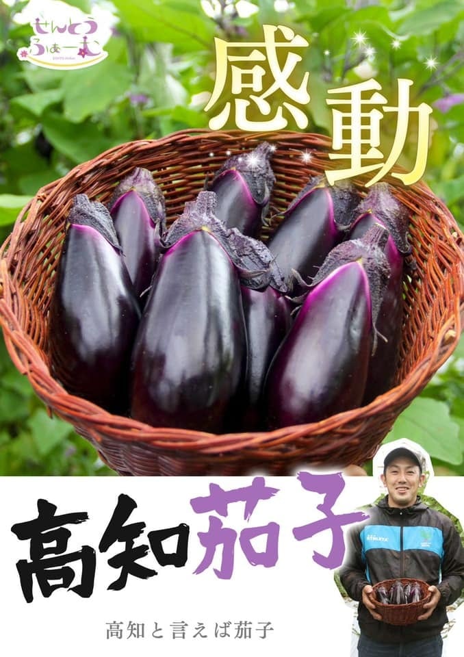 あなたのお口をおもて茄子 15本セット | せんとうふぁーむ