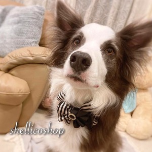 【ストライプblack × black】ボリュームたっぷりリボンチョーカー