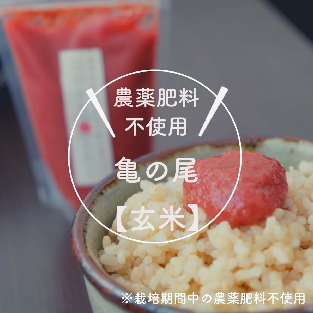 5cc2f28a5c46b04899a0154e831709 
