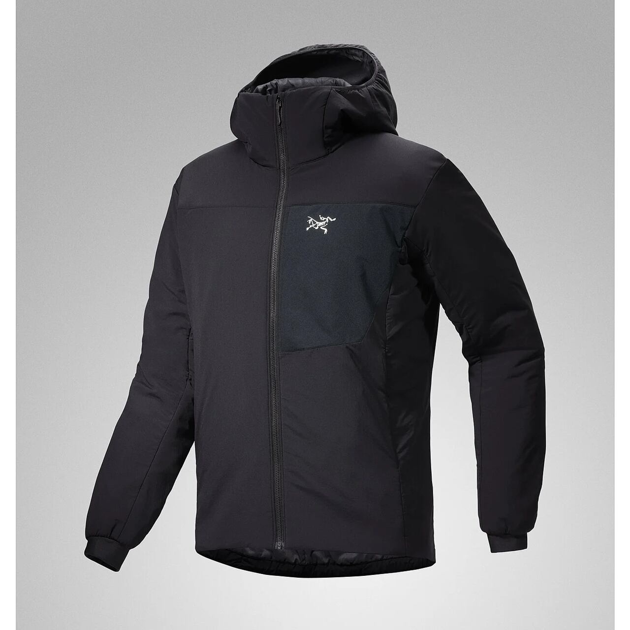 【限定値下げ】ARC’TERYX Proton LT Hoody L グレー