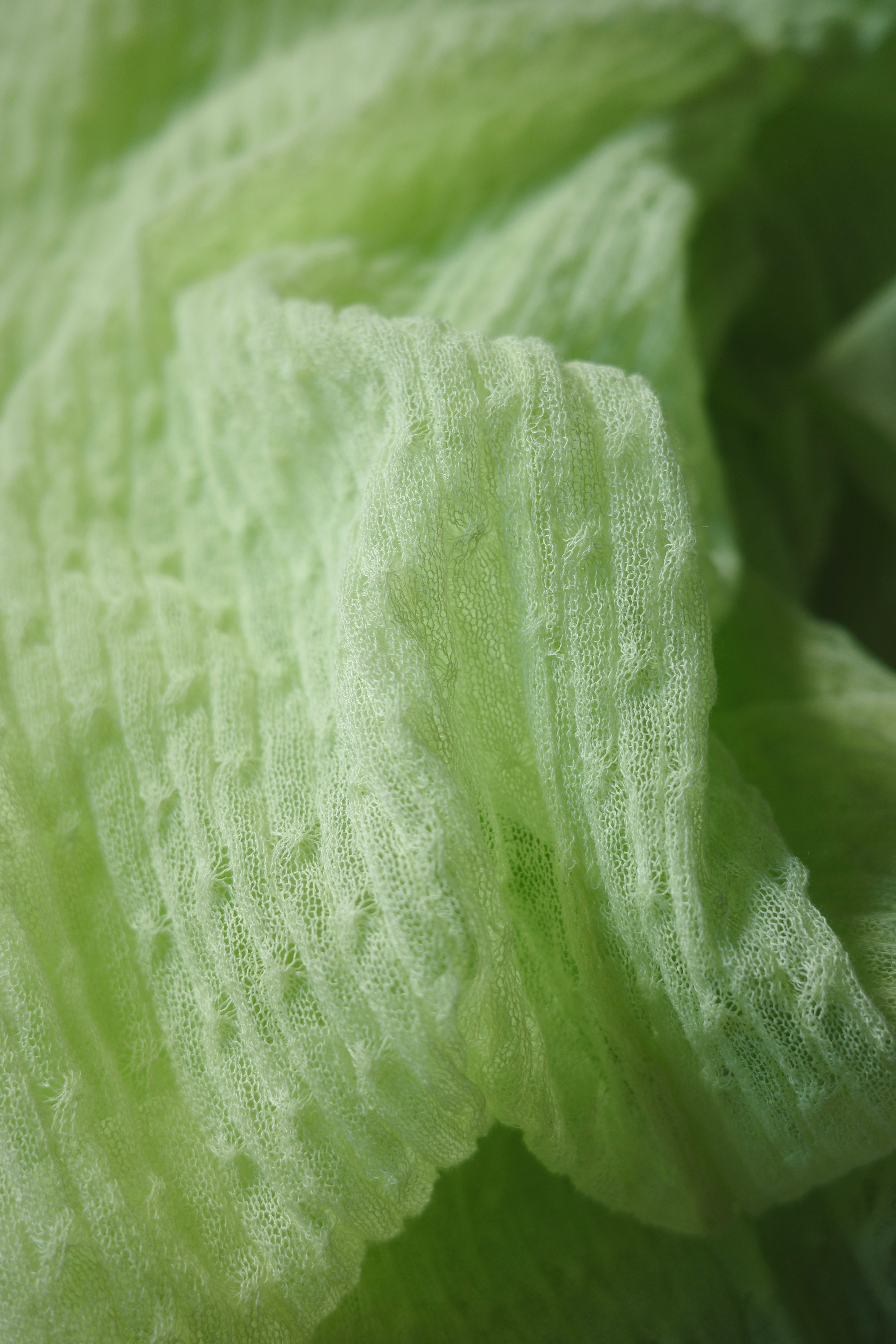 Kota Gushiken 【Shir-digan -Lime-】 | PAY ID