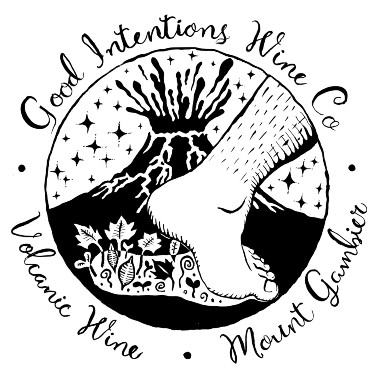 Good Intentions Wine グッド・インテンションズ・ワイン/Frankie
フランキー 2024(750ml) 画像4