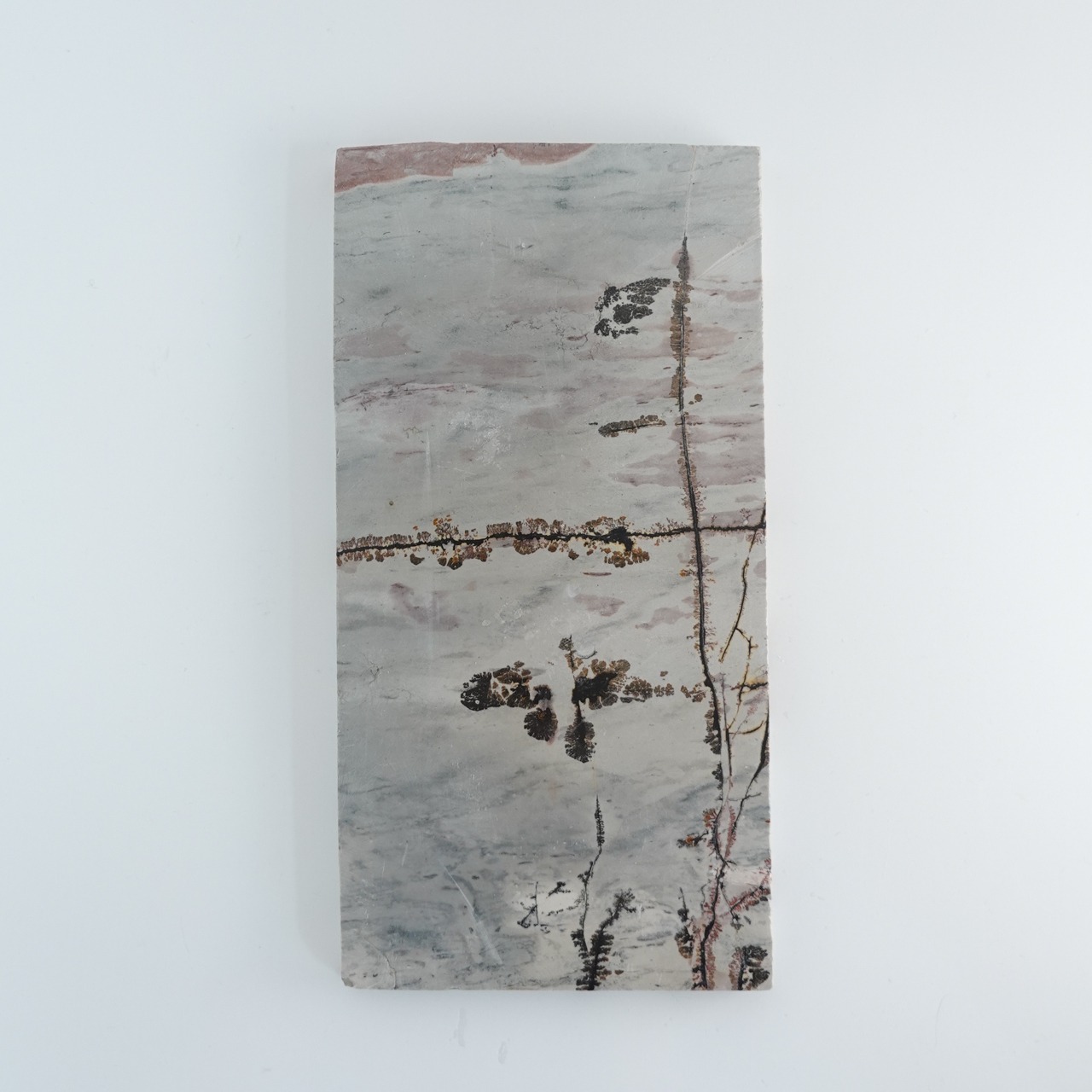 ピクチャージャスパー / スラブ