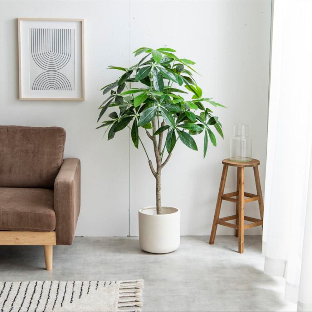 観葉植物 パキラ フェイクグリーン 光触媒人工観葉植物 高さ120cm | FIGARO
