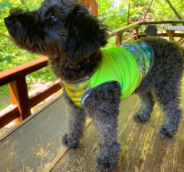 わんこ服小型犬用S "明るいグリーンのストレッチ布と赤い絹のバンダナふう襟”B-4
