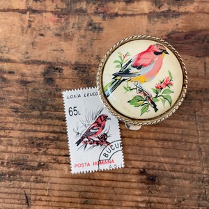 鳥のいれものセット