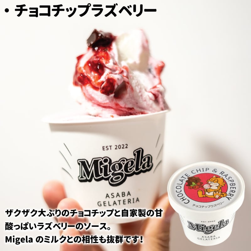 ジェラート 送料無料 ケール ココ マンゴーミルク チョコチップ