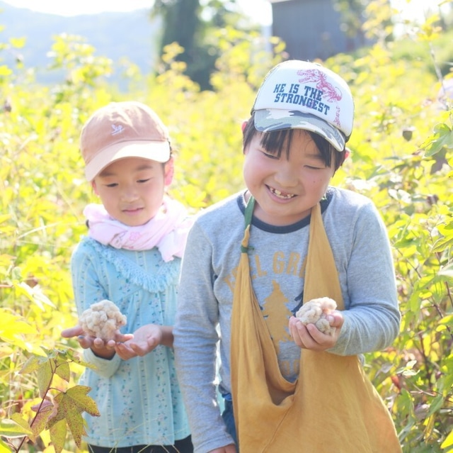 【2024年5月11日開催】いといがわコットンプロジェクト：綿花の畑にタネをまこう！& 早川ピクニック