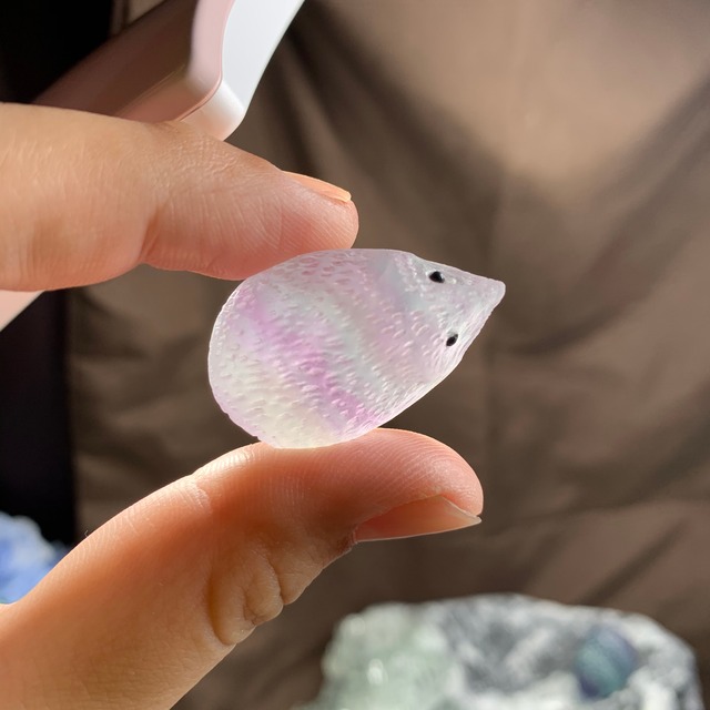 一点物★ハリネズミが住み着いている美しいフローライト原石クラスター