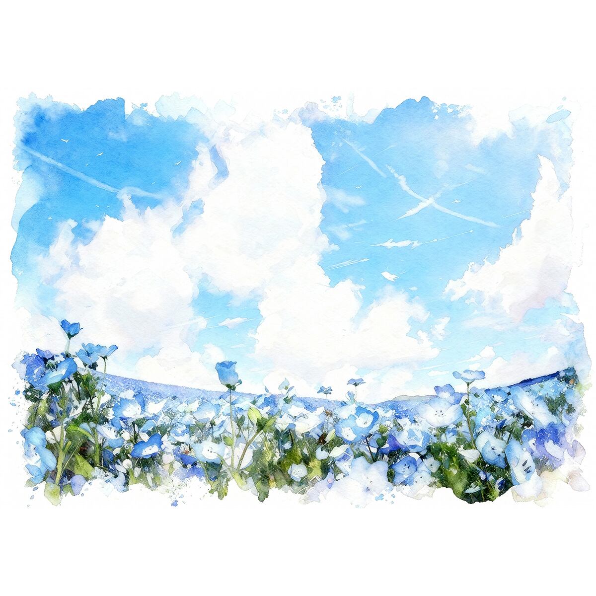 絵画(風景画) 日本 茨城県 国営ひたち海浜公園みはらしの丘の