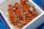 特大松葉がに 赤タグ 活生1.1kg【港直送】