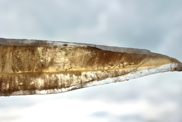 スペイン産バイカラーセレナイト Selenite 1076