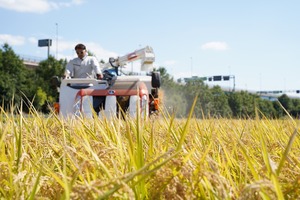 ★★令和７年産新米[精米:5kg]KawauFarmsのうまい米★★