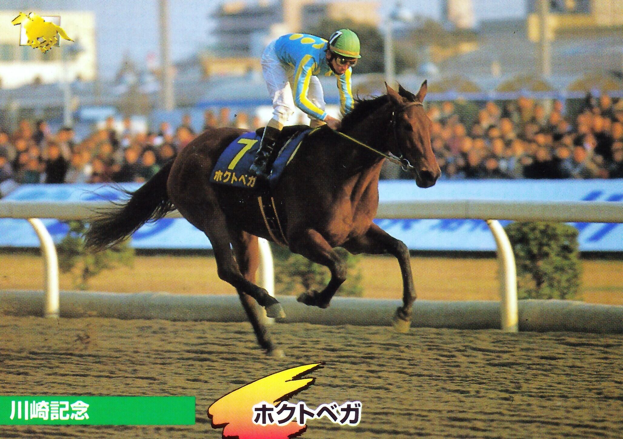 サイレンススズカ：第64回 日本ダービー出走馬「サラブレッドカード 97