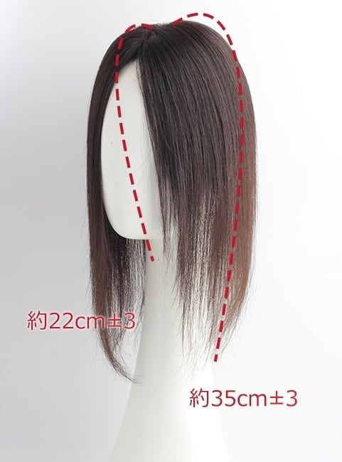 私元気！柔らかフィット通気性部分ウィッグ◎10×12cm髪の長さ30cm | fuwari