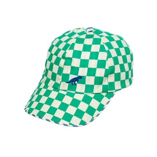 T2579G-1:Dinosaur Check Cap 3-6 Years-GREEN