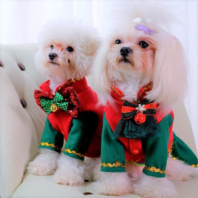 大型犬もOK クリスマススーツ&ワンピース