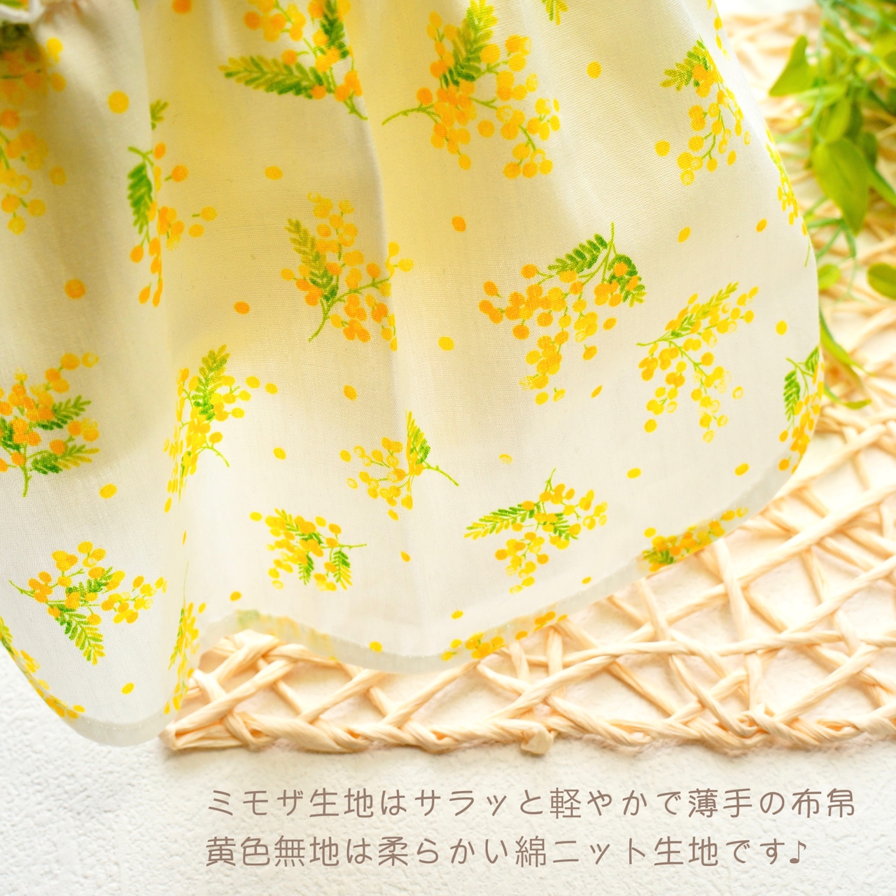 Airy mimosa Balloon ꕤ